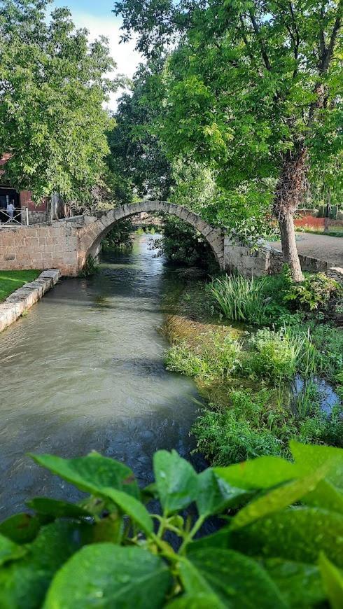 Aromas Del Jiloca, La Trufa Negra Leilighet Calamocha Eksteriør bilde